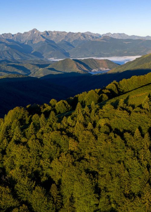 prise de vue par drone